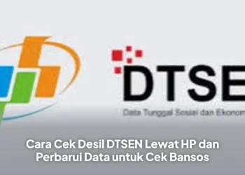 Cara Cek Desil DTSEN Lewat HP dan Perbarui Data untuk Cek Bansos