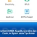 Cara Klaim DANA Kaget Lewat Link dan QR Code, Ini Syarat serta Tips Aman