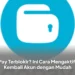 GoPay Terblokir? Ini Cara Mengaktifkan Kembali Akun dengan Mudah