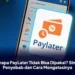 Kenapa PayLater Tidak Bisa Dipakai? Simak Penyebab dan Cara Mengatasinya